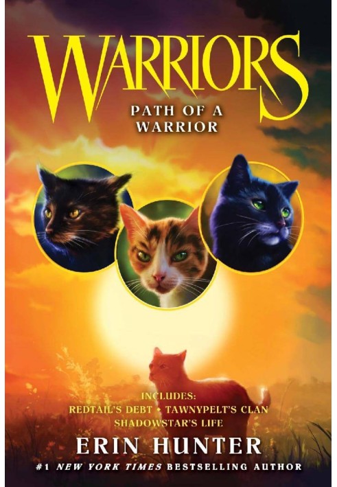 Book Path Of A Warrior