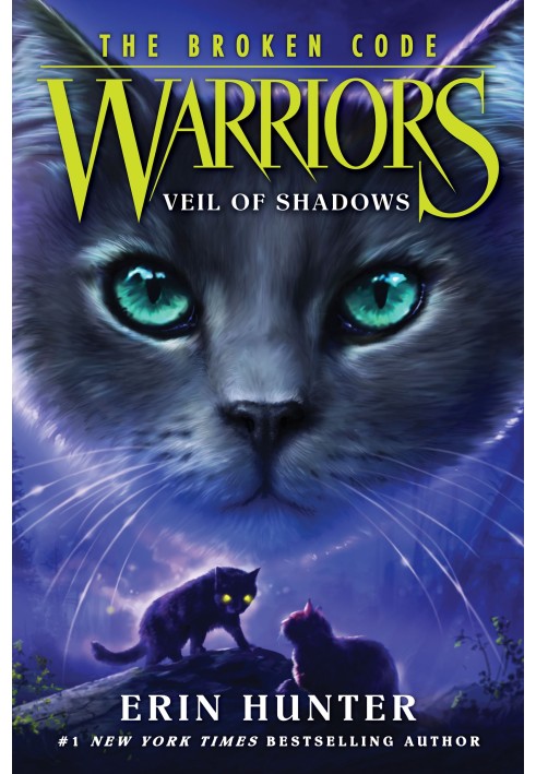 Book Veil Of Shadows