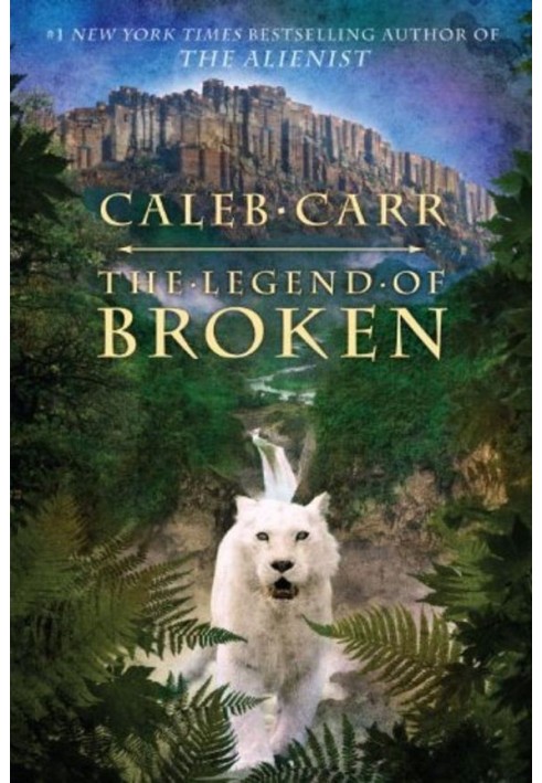 Book The Legend of Broken