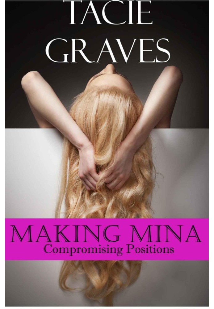 Book Compromising Positions