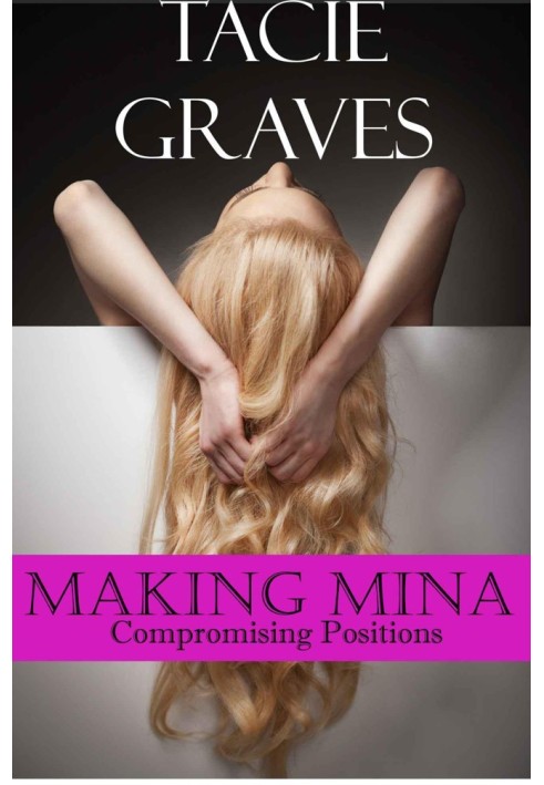 Book Compromising Positions