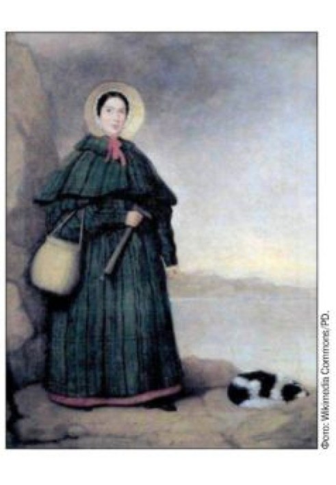 Book The Tale of Amateur Paleontologist Mary Anning