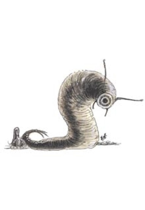 Book My favorite leech