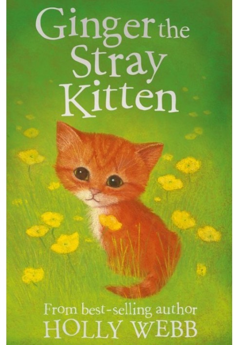 Книга Джинджер Бродячий котенок
