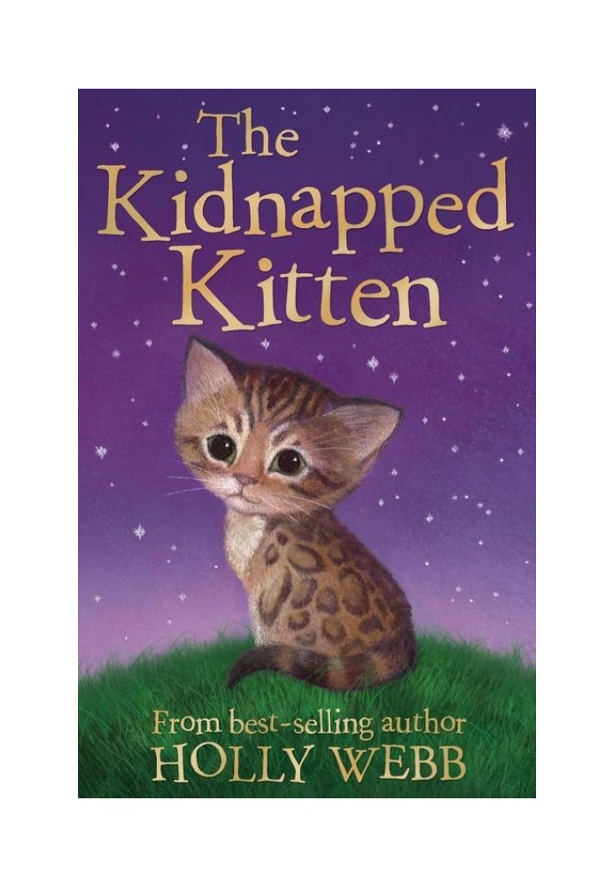 Book The Kidnapped Kitten