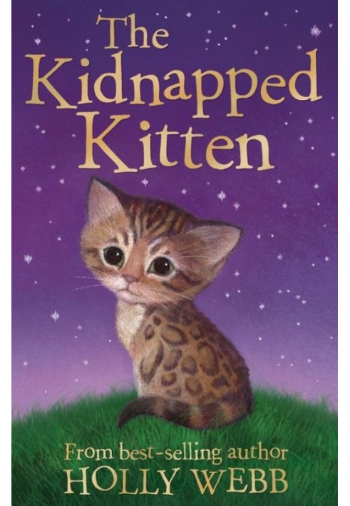 Book The Kidnapped Kitten