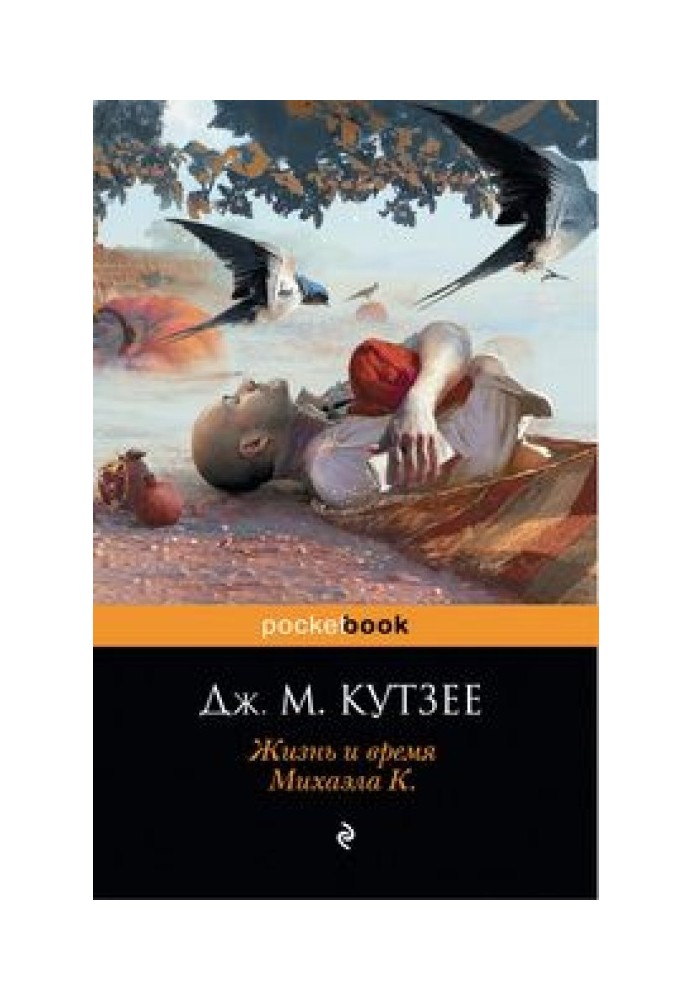 Книга Жизнь и время Михаэла К.