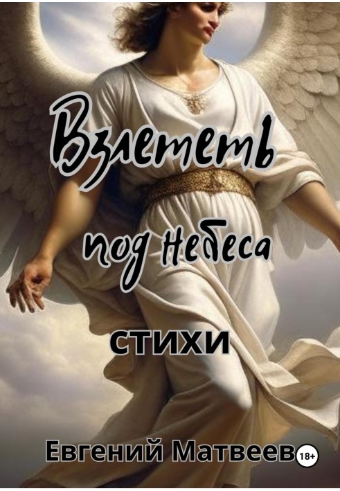 Book Fly up to the skies