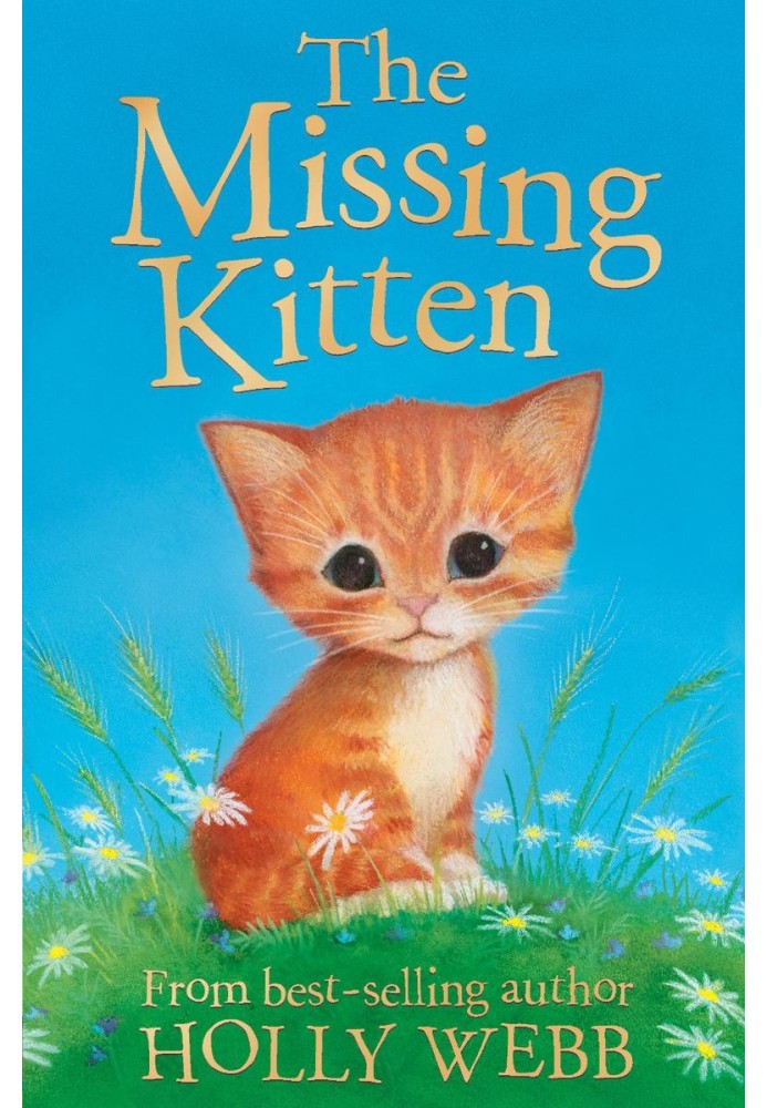 Книга Пропавший котенок