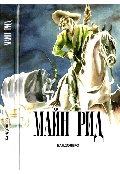 Book Bandolero