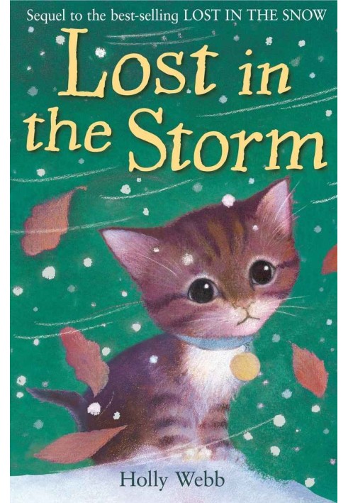 Book Lost In The Storm