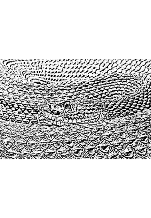 Book Gentleman of the Snake World