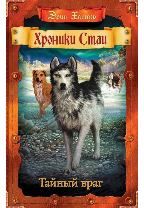 Book Secret enemy