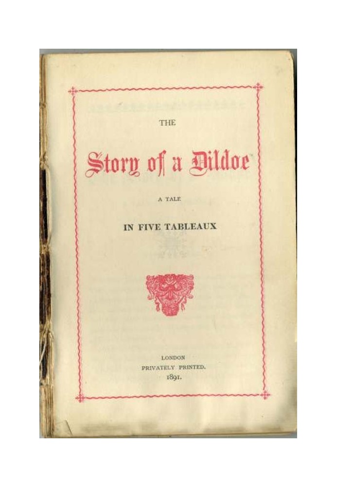 Book The story of a Dildoe