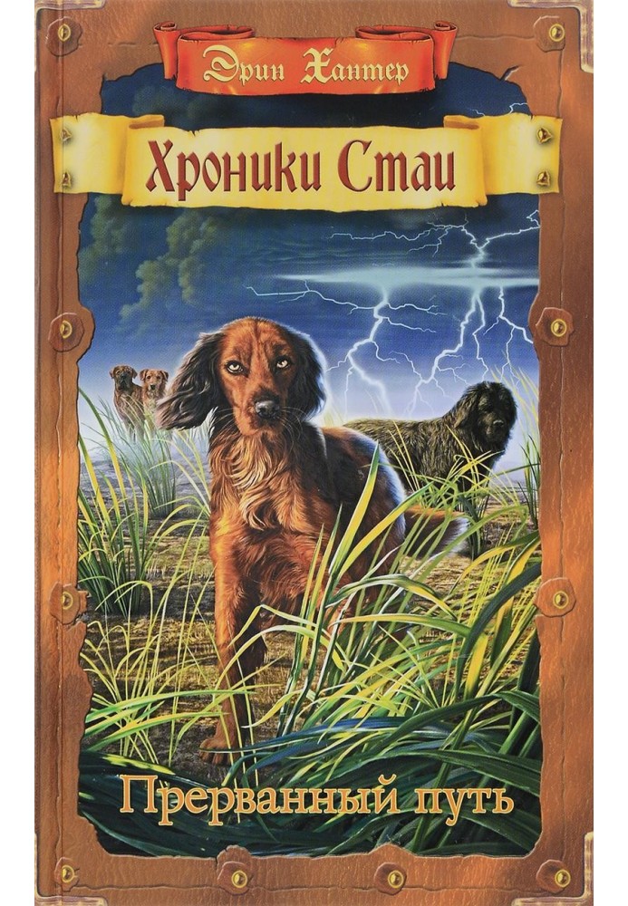 Книга Перерваний шлях