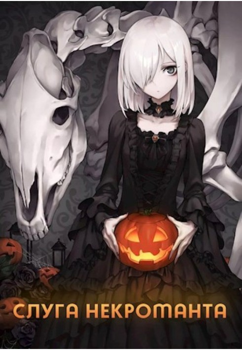 Book Servant of the Necromancer