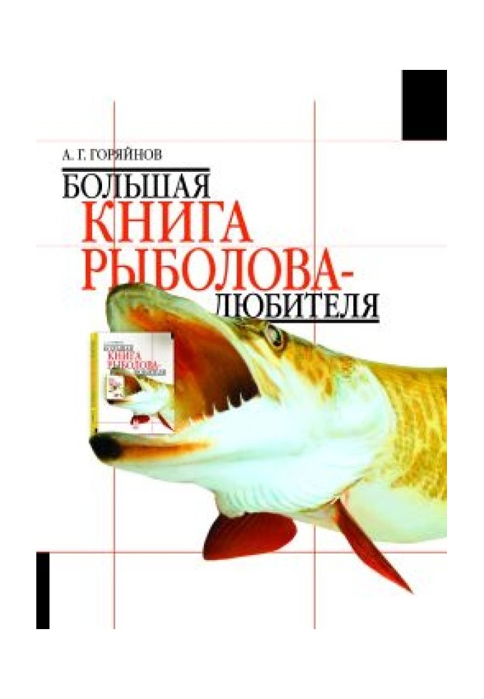Book The Big Book of the Amateur Angler