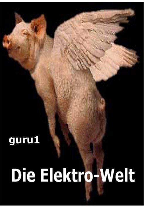Book Die Elektro-Welt