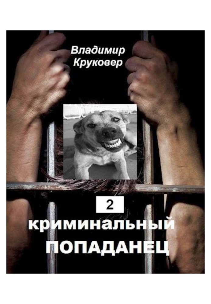Книга Криминальный попаданец 2
