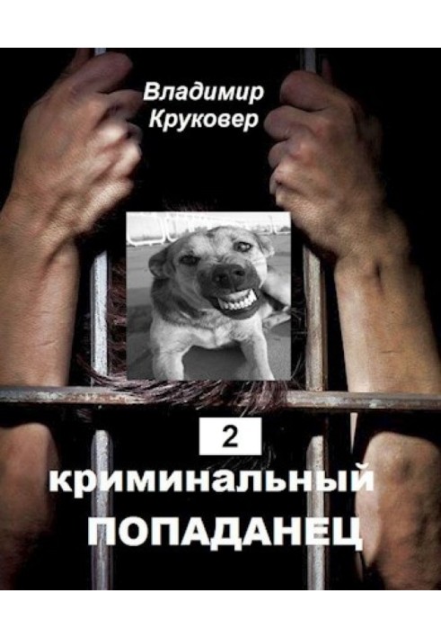 Книга Криминальный попаданец 2