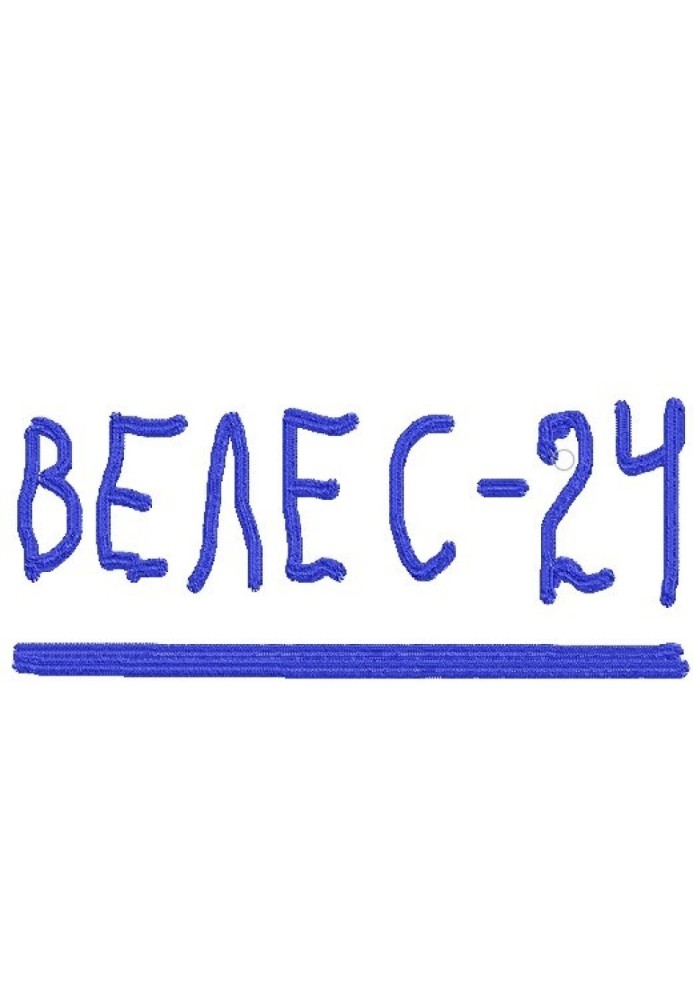Книга Велес - 24 