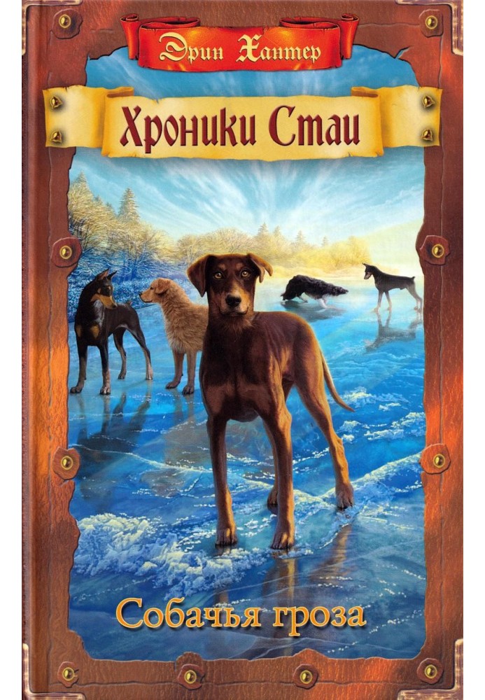 Book Dog Thunderstorm