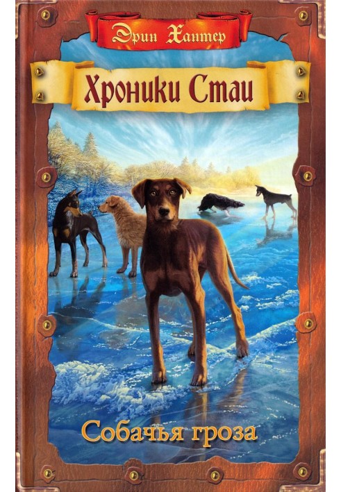 Book Dog Thunderstorm
