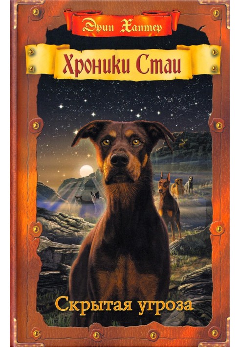Book Hidden threat