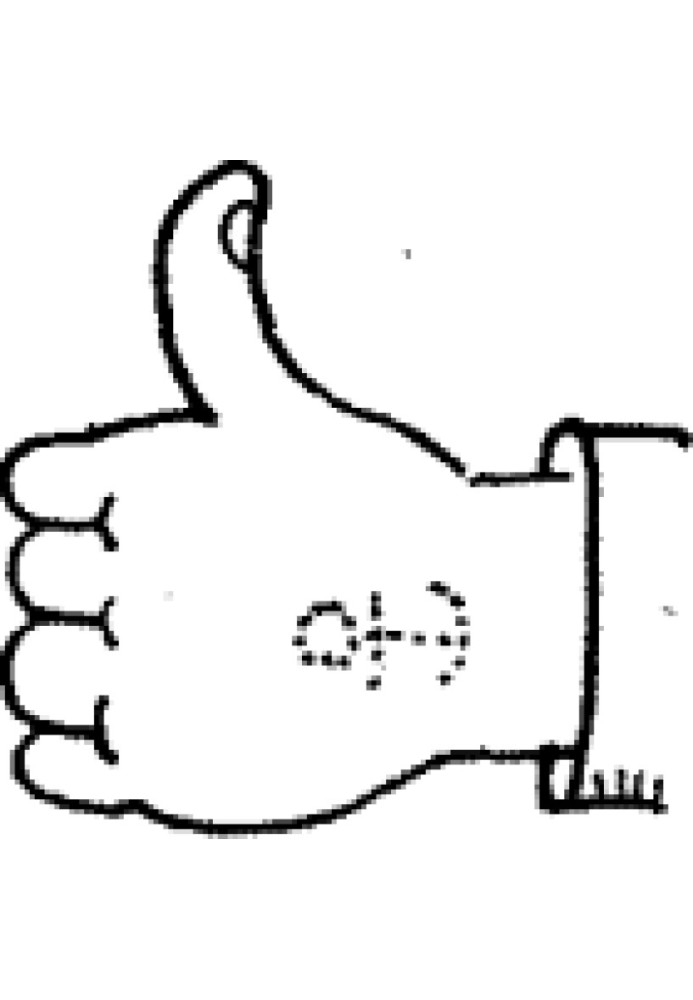 Book Caution HOT DOG! (with illustrations)