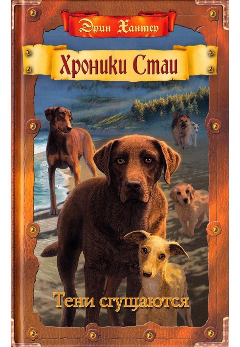 Книга Тіні згущуються