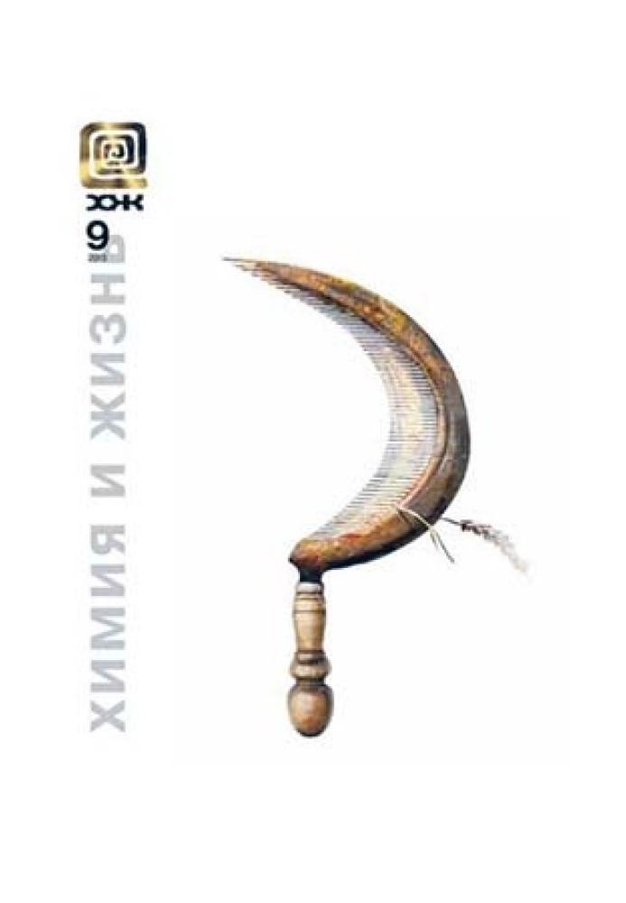Книга Службовий маг