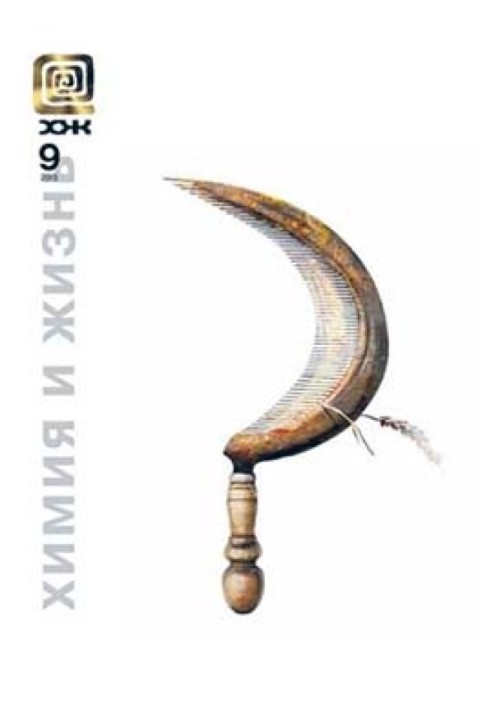 Книга Службовий маг