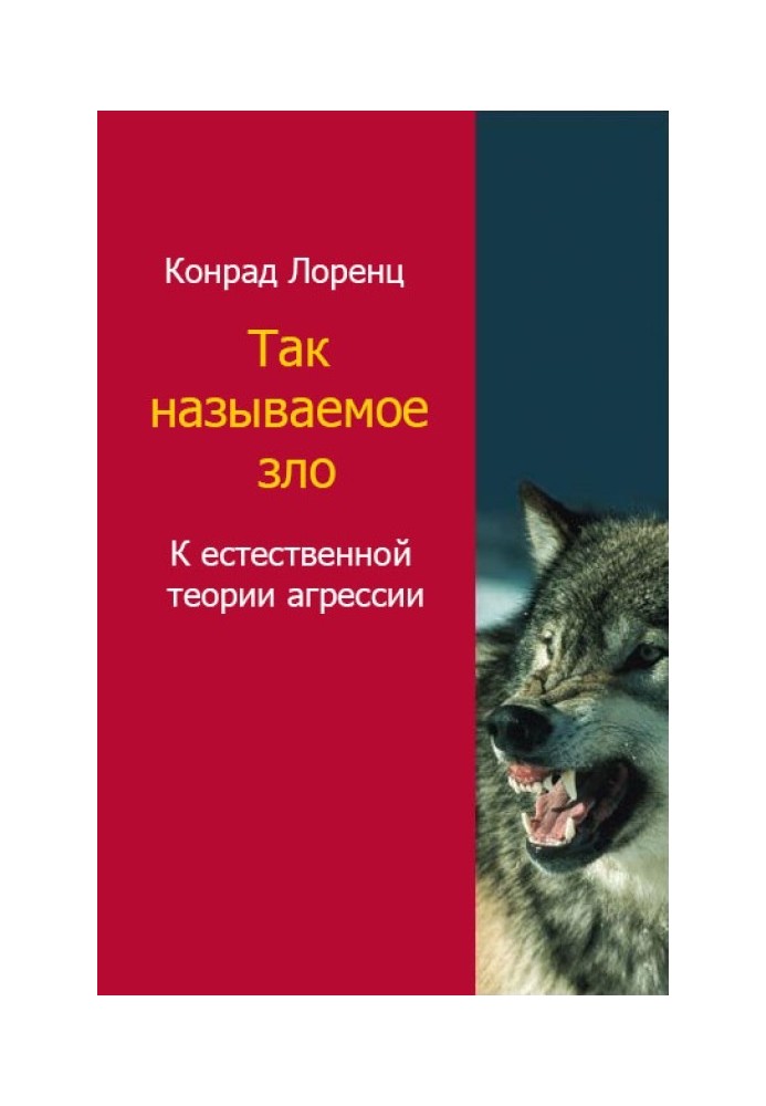 Book So called evil