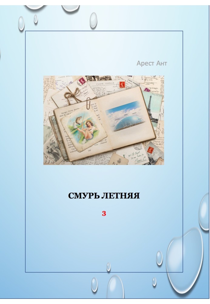 Book Summer smur