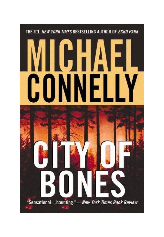 Book City Of Bones