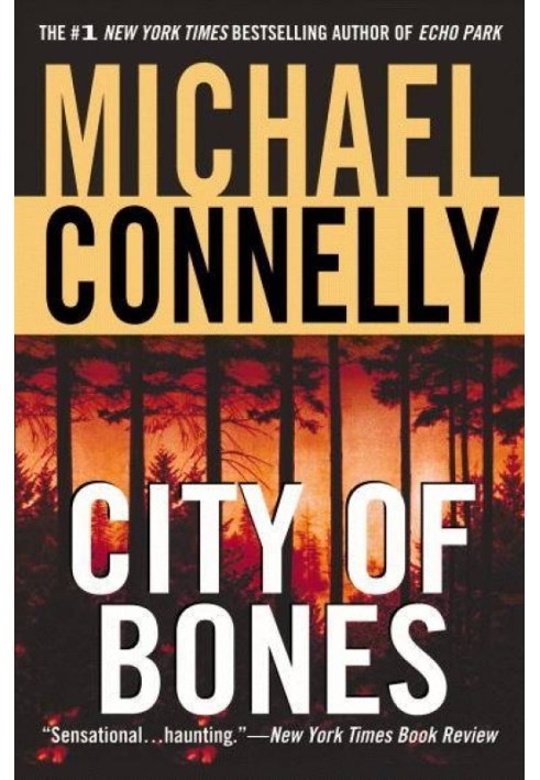 Book City Of Bones