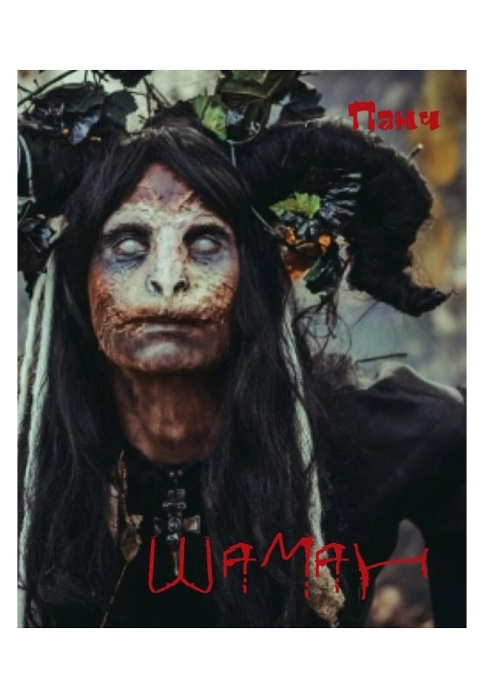 Книга Шаман