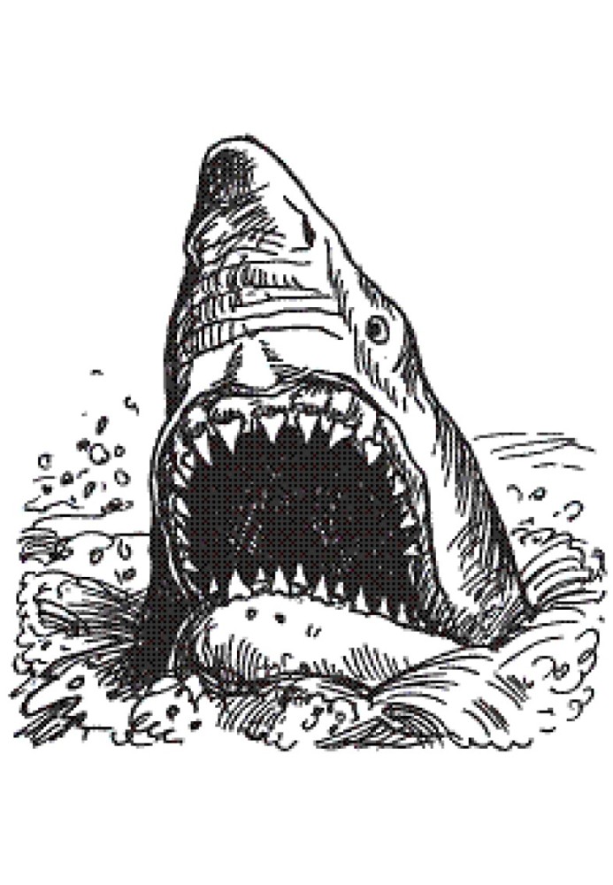 Book Sea vampires