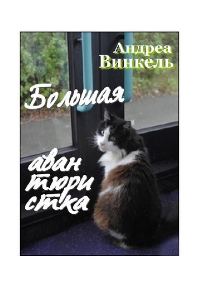 Книга Большая авантюристка