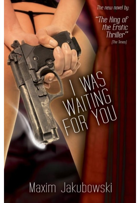 Book I Was Waiting for You