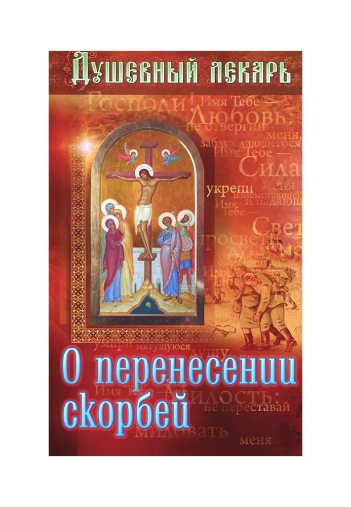 Book Soul healer. About enduring sorrows