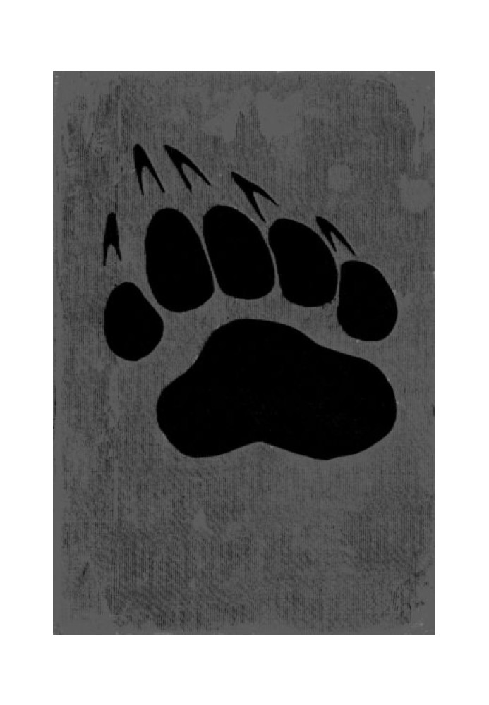 Книга Дикие животные дома