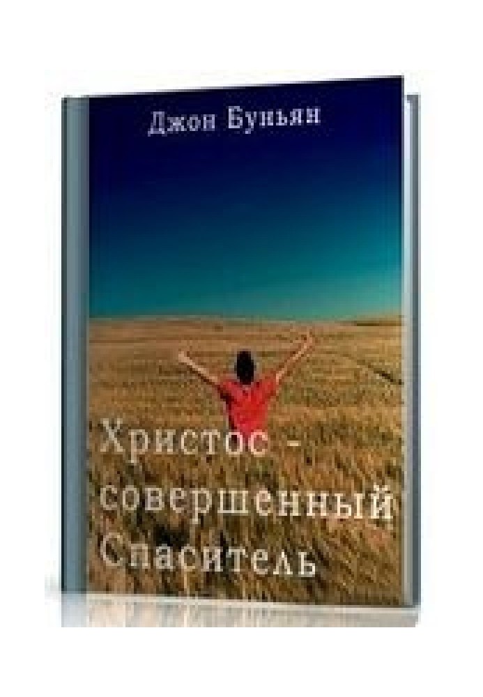 Book Christ - the perfect Savior or the Intercessory Ministry of Christ and who is worthy of it