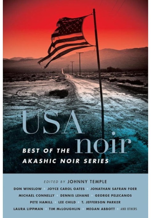 Книга USA Noir: найкраще з серії Akashic Noir