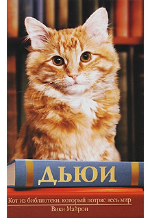 Book Dewey. The cat from the library that shocked the whole world