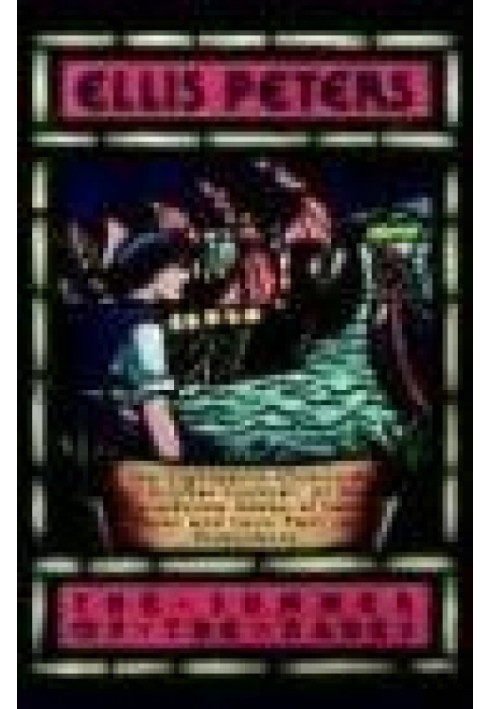 Book The Summer of The Danes