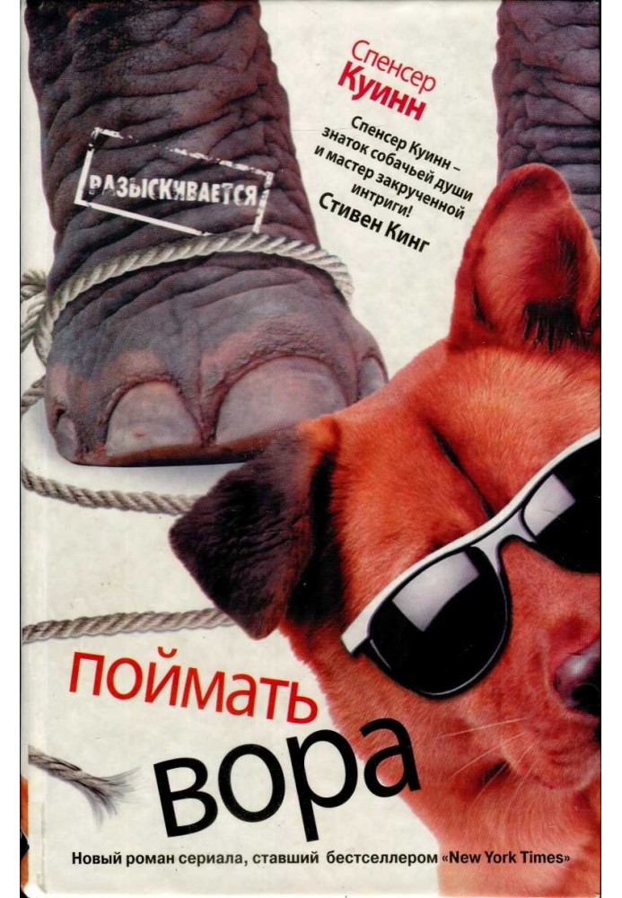 Книга Спіймати злодія