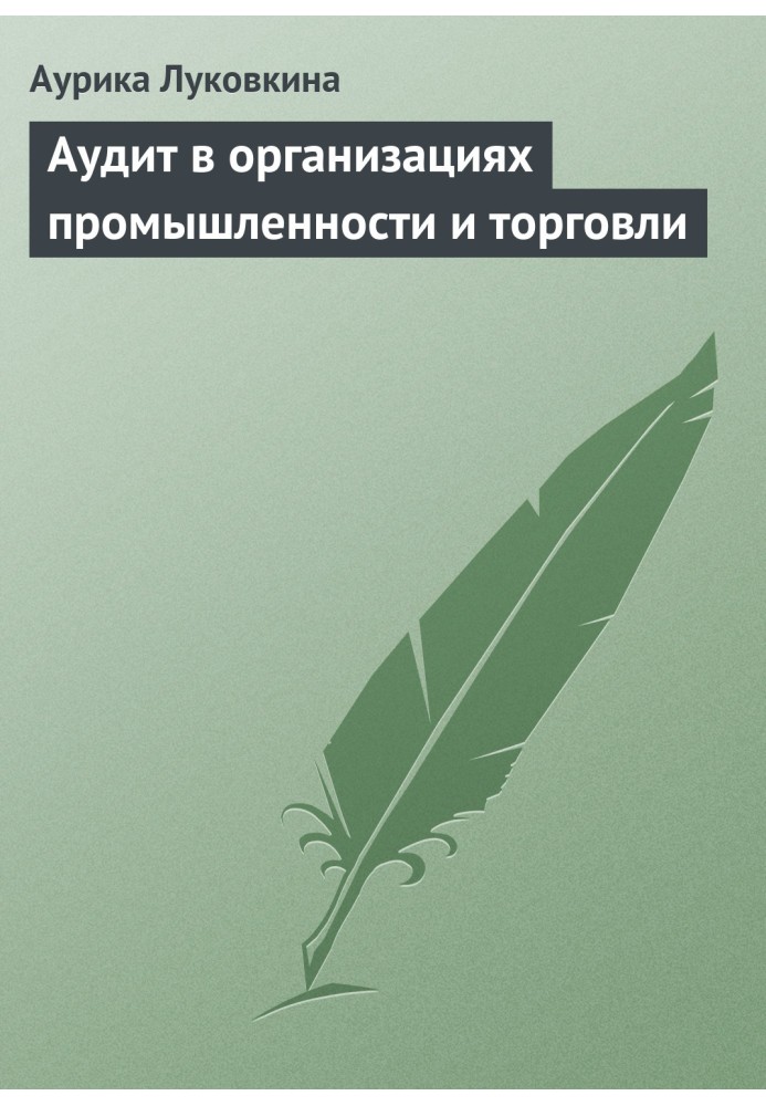 Книга Аудит в організаціях промисловості та торгівлі