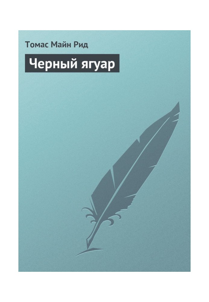 Книга Черный ягуар