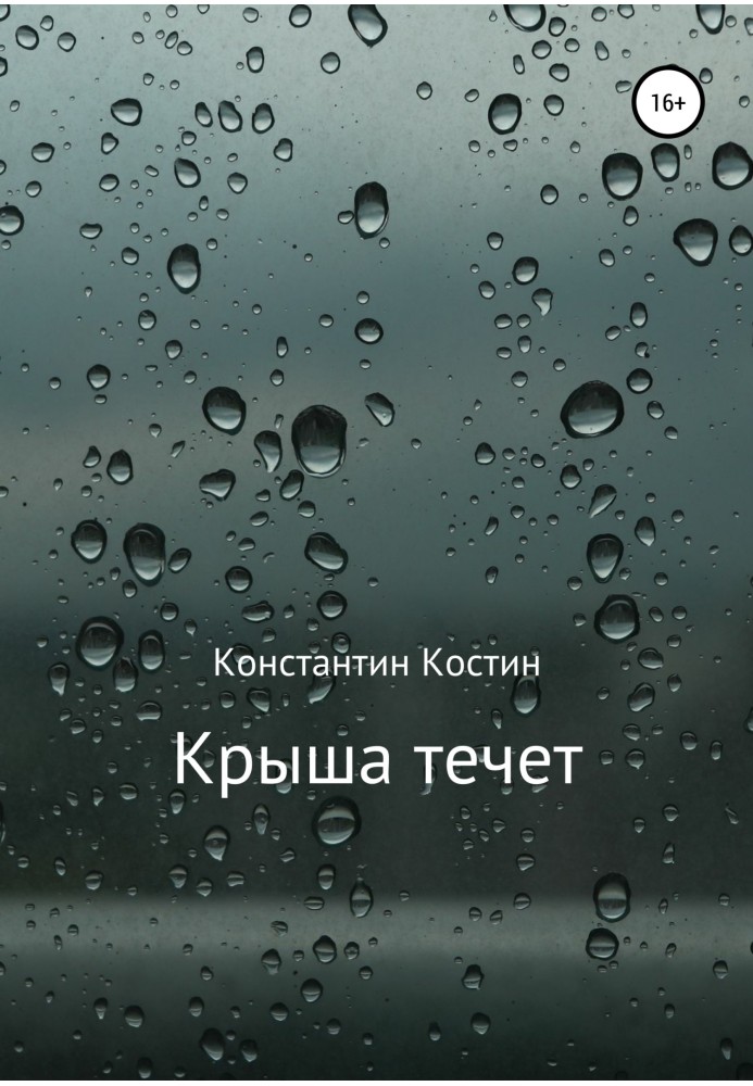 Книга Крыша течет